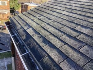 shingle damage